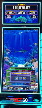 Crash Games Strategies Bet60